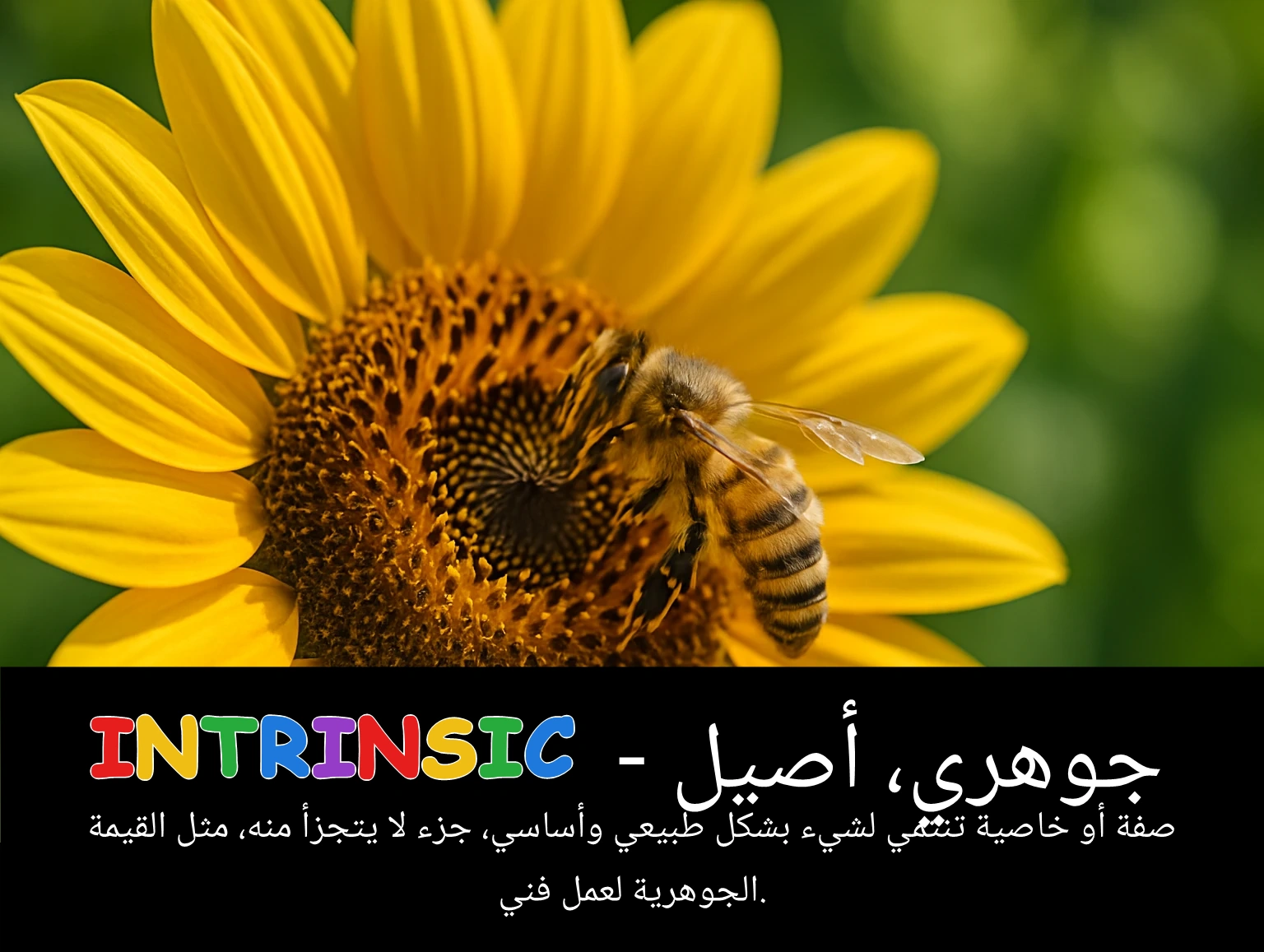 Arabic Illustration for intrinsic
